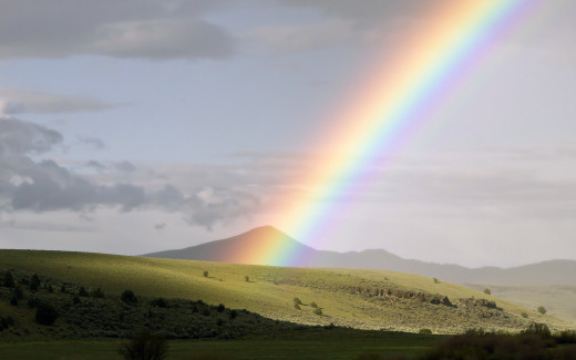 492853 (a): :2560x1600